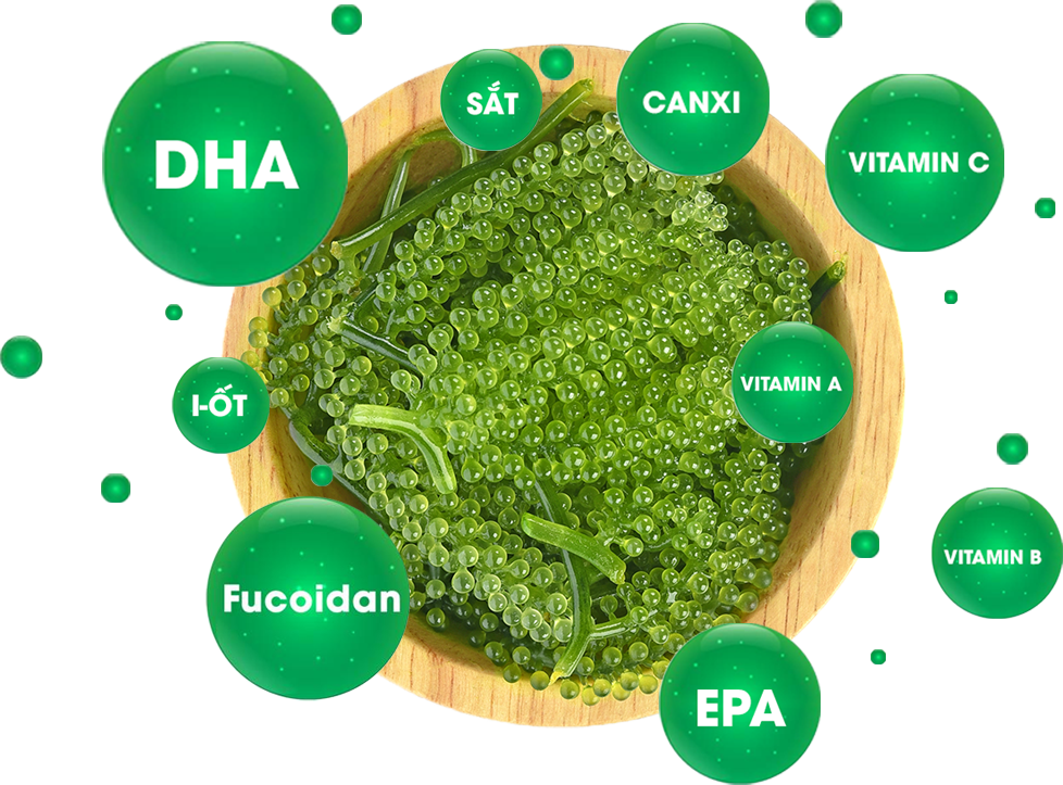 Ăn rong nho có giảm cân không 100g rong nho tươi bao nhiêu calo