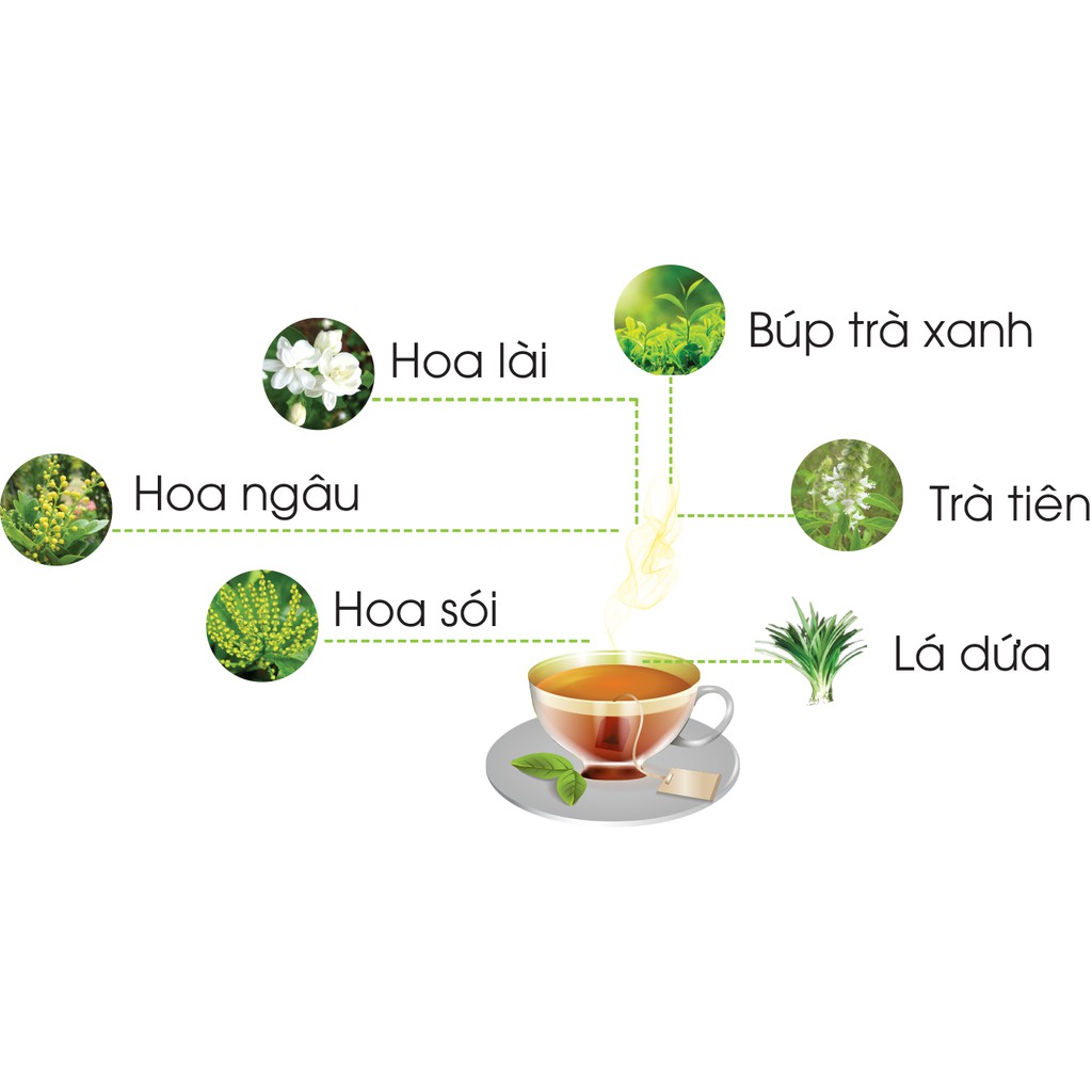 Kiểm Tra Thành Phần 