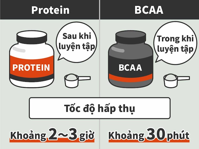 Liệu BCAA & Protein Có Giống Nhau?