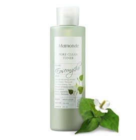 AMOREPACIFIC Toner Diếp Cá Mamonde Pore Clean Toner 1