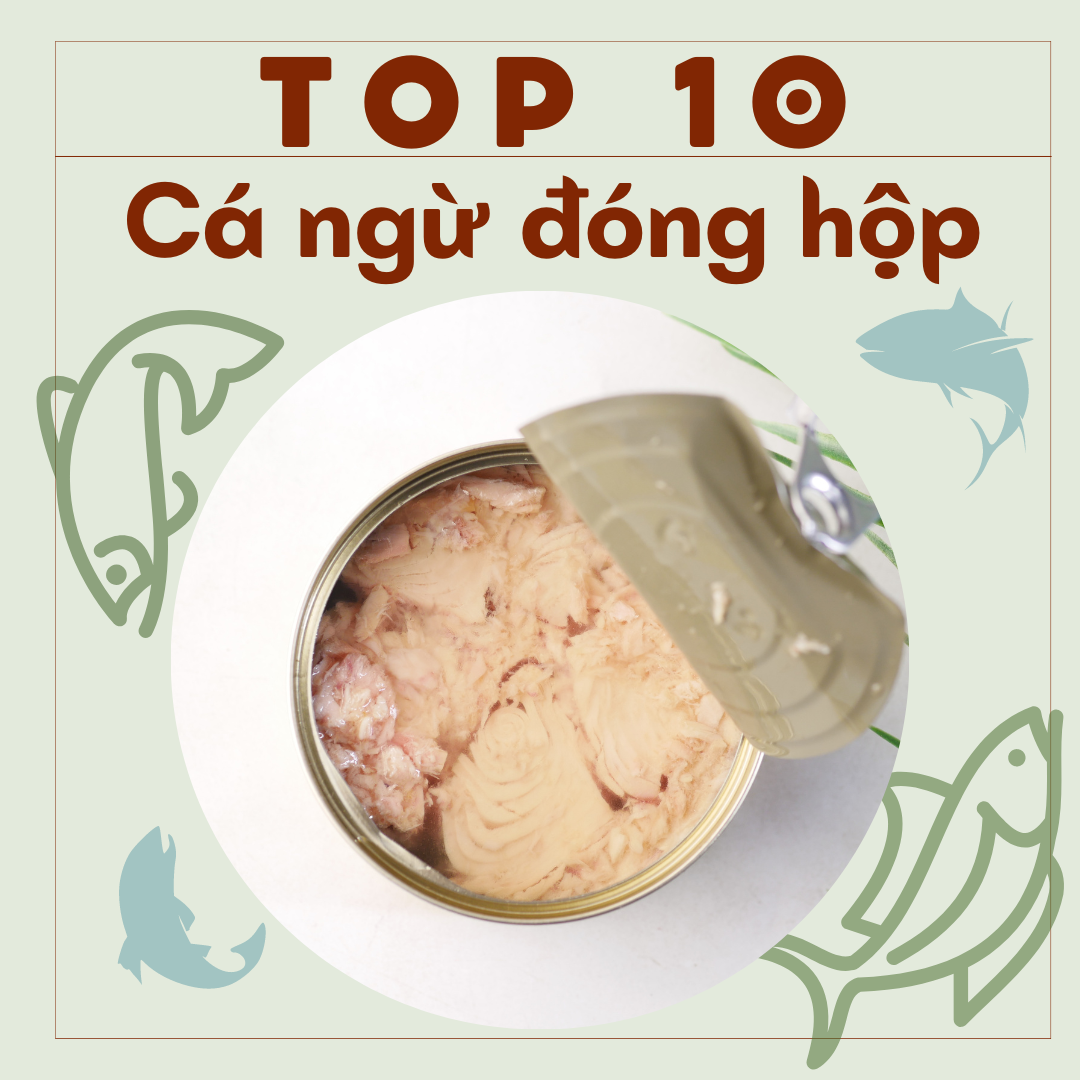 [2022] Top 10 Cá Ngừ Hộp tốt nhất hiện nay (Hạ Long, Vissan, Seaspimex)