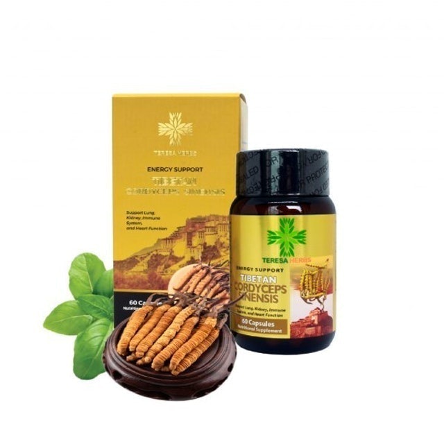 Review đánh giá các loại đông trùng hạ thảo Nhật Bản tốt nhất 2023 Review đánh giá các loại đông trùng hạ thảo Nhật Bản tốt nhất 2023